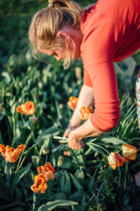 Businessfotografie von Blumenbauerin bei Freiburg mit Tulpen