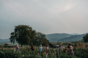 Businessfotos freiburg