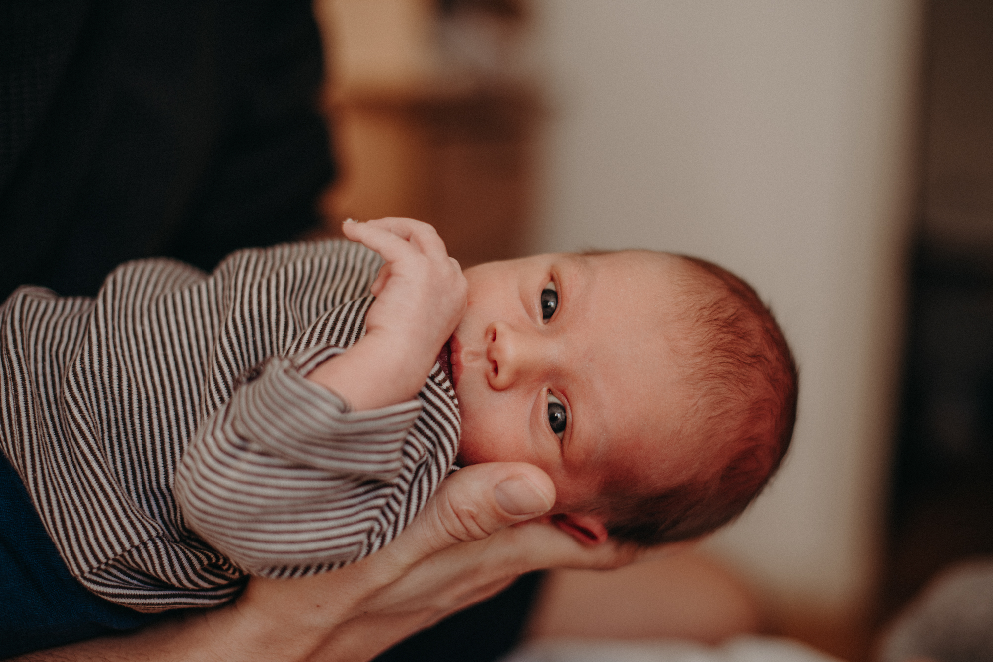 Baby Portrait auf dem Hand des Vaters, Fotograf in Basel